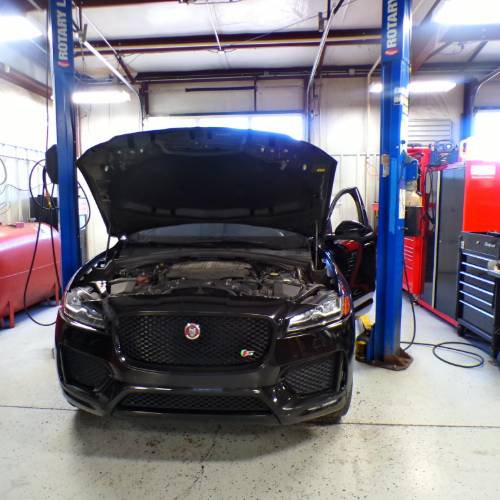 Jaguar Repair Image 2 | Import Specialty Service